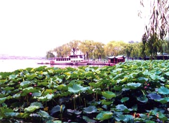 大明湖