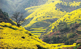 工作一年多，杨俊森已对绵潭村这块风景秀丽的土地充满了感情
