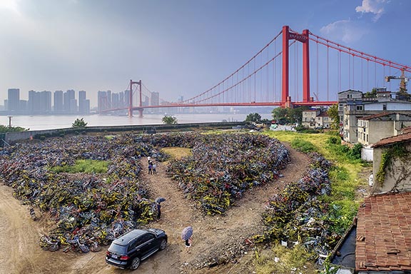 武昌毛家巷长江江堤上的共享单车坟场，背景是被称为“长江上最美大桥”的鹦鹉洲长江大桥。