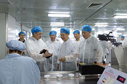 2018年8月23日，漳州市委副书记，市人民政府党组书记、市长刘远（左五）在漳州片仔癀药业股份有限公司调研生产经营。