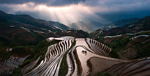 广西壮族自治区桂林市龙胜各族自治县的梯田里，农民正在耕种。