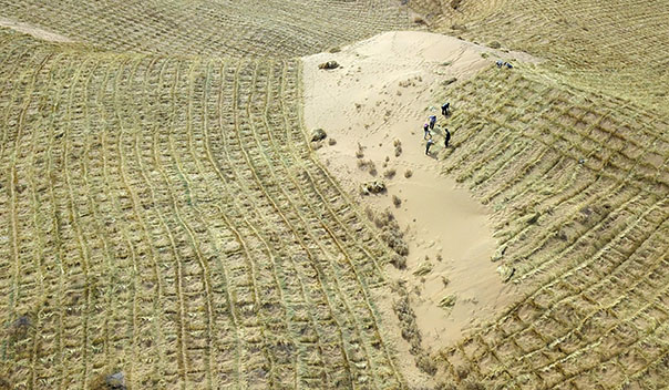 3月5日，在腾格里沙漠南缘的甘肃省武威市古浪县，当地干部职工及八步沙林场治沙人共同在县城北部沙区旱麻岗治沙点开展春季治沙劳动。