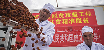 新疆柯坪县供销联合社员工为电商平台打包黄杏。
